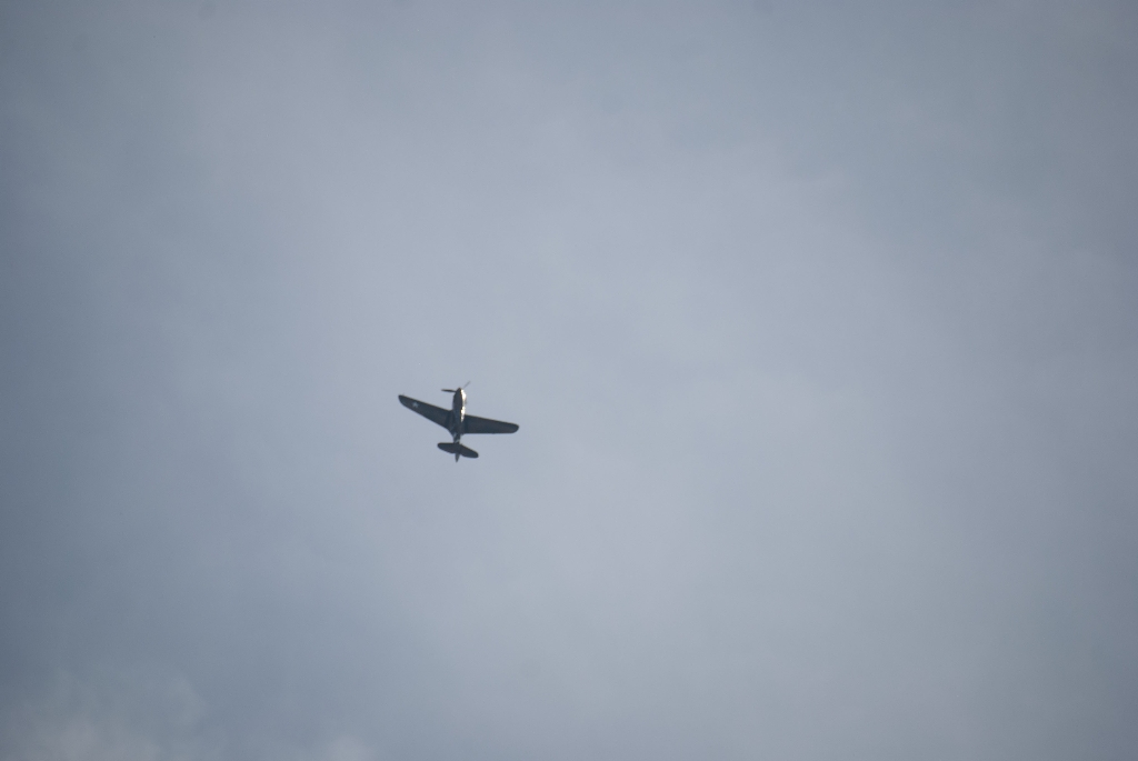 DSC_3570.jpg